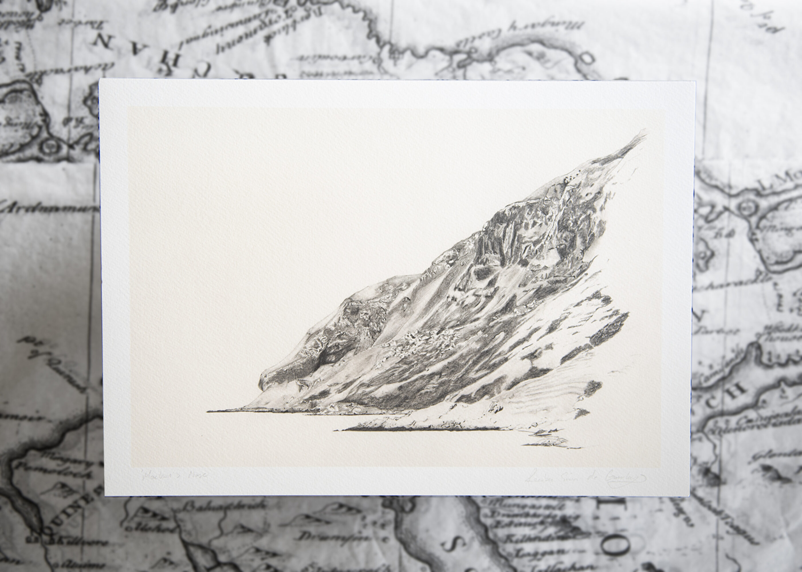 Macleans Nose A3 Print